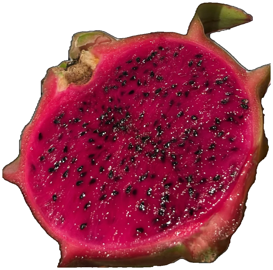 Florida Man dragon fruit cut in half, showing Magenta flesh flecked with fine black seeds.